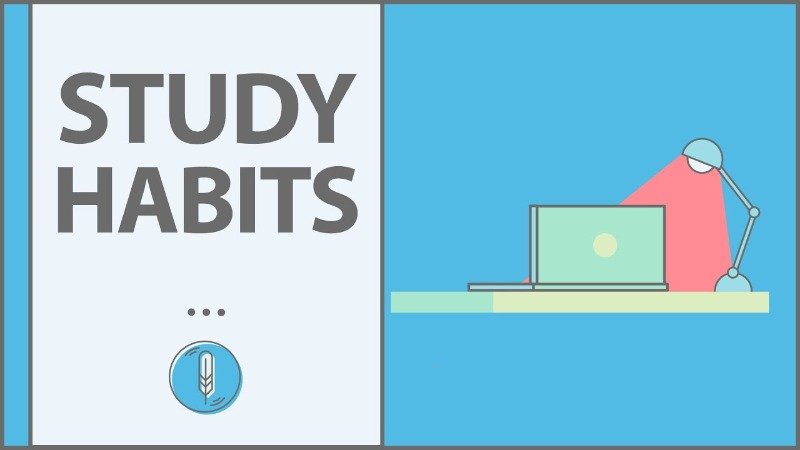 7 Excellent Techniques to Improve Your Study Habits