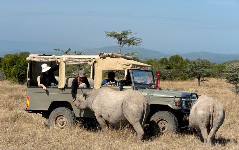 Tourism decline hampers wildlife in Kenya