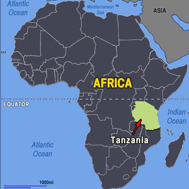 The World Bank Officially Ranks Tanzania Among Middle-Income Countries