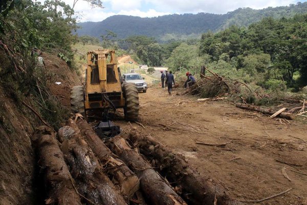 Challenge as Kenya’s Water Towers –Aberdare and Mt Kenya Forests Face Threats