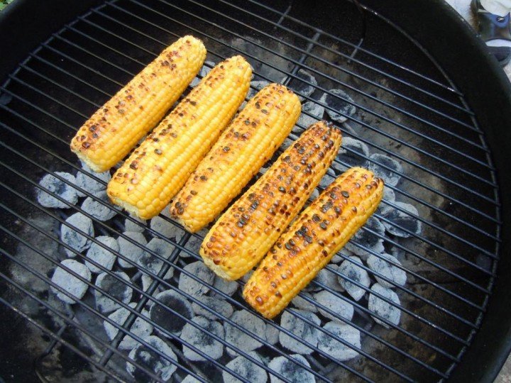 Roasted Maize/ Corn