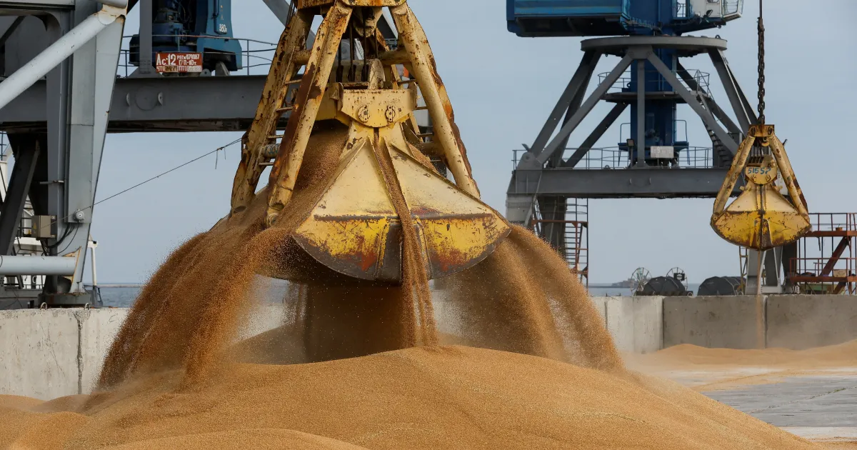 Russian Assistance: 200K Tonnes of Free Grain Shipped