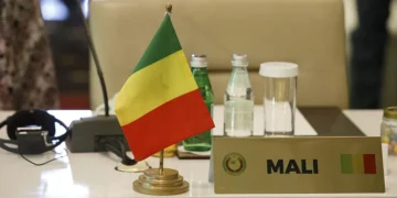 UN Calls on Mali