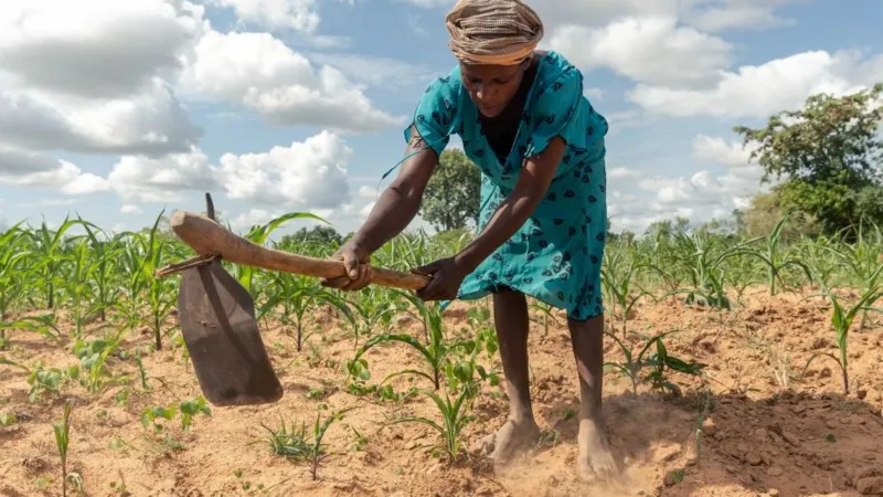 Zimbabwe's President Mnangagwa Acknowledges Drought,