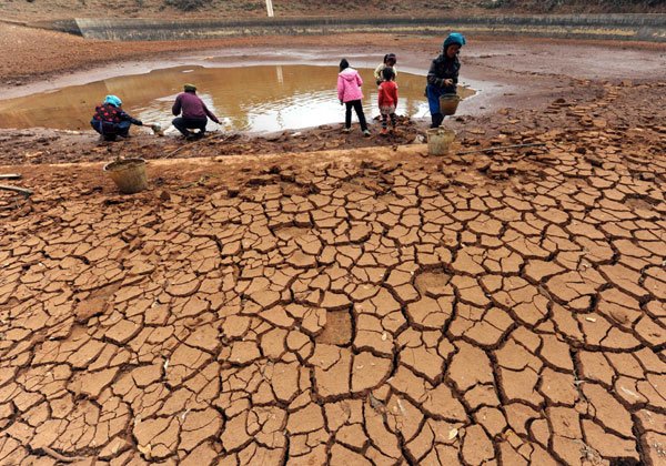 Zimbabwe Declares State of Disaster Due to Severe Drought