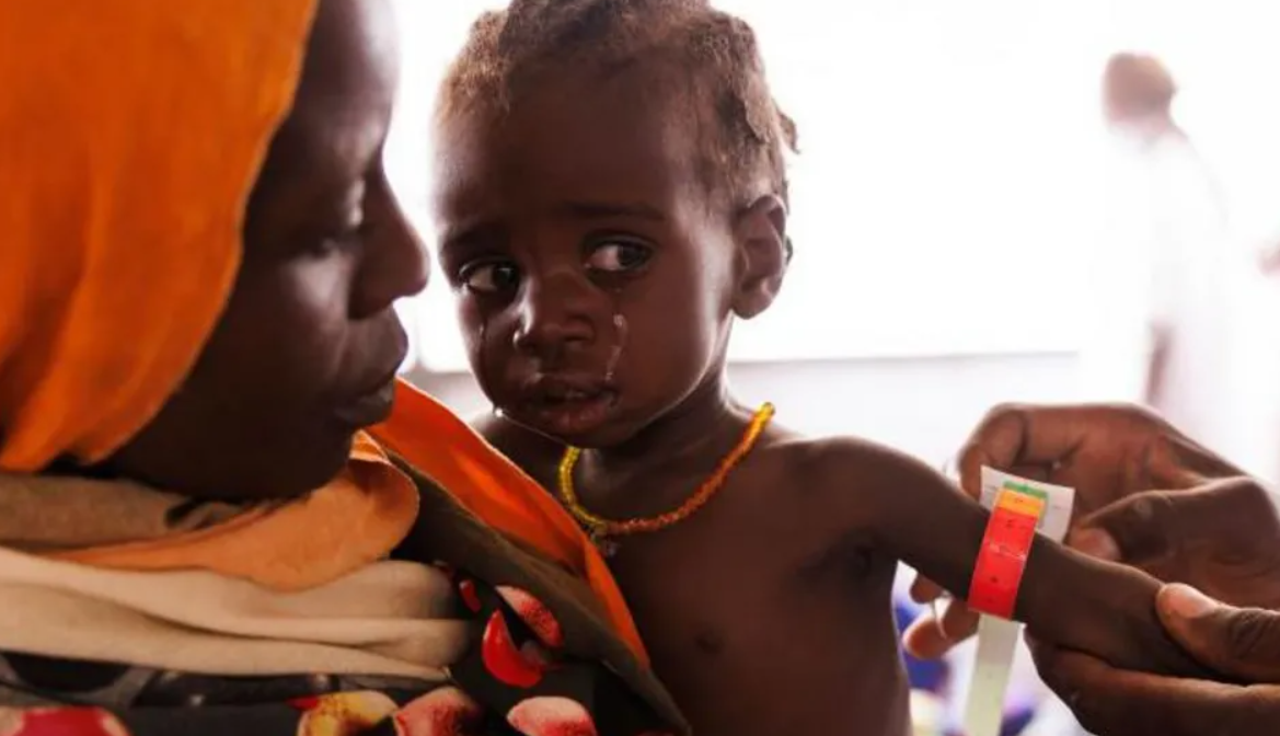 Millions Face Daily Battle for Food Amid Sudan Conflict