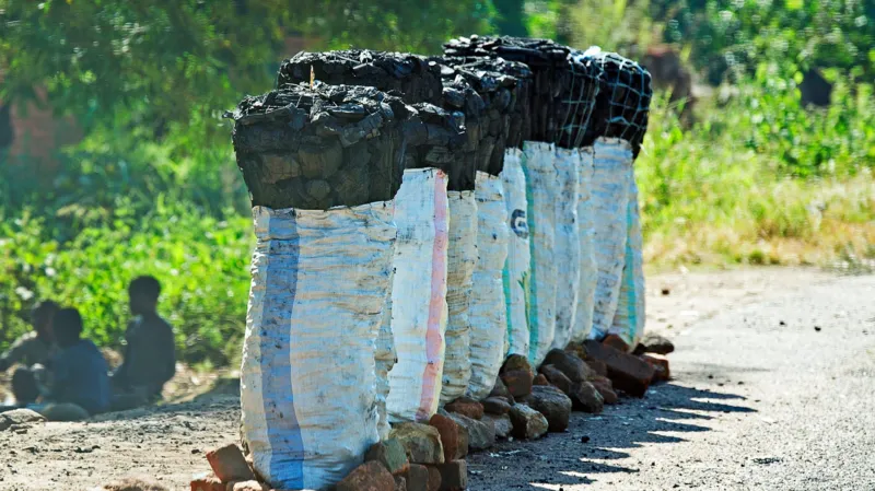 Fake funeral suspects allegedly used hearse to smuggle charcoal in Malawi